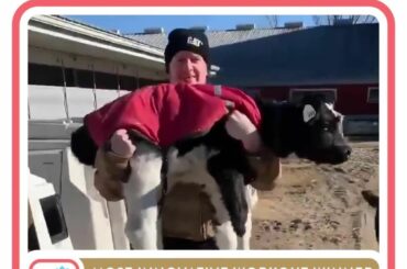 Une autre journée (jambe) à la ferme L'entraînement le plus innovant revient à @jaredmccann'...