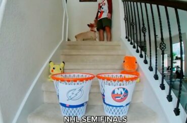 Le corgi est de retour à la demande générale !  #StanleyCup @tblightning contre @ny_islander...