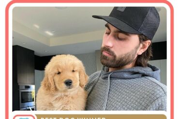 @teddyytuch = Le golden retriever de Top Dog @alextuch89 a mérité l'honneur des goodes...