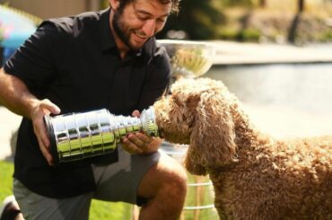 Ne le dis pas, ne le dis pas... Stanley Pup ( @rieslingthegoldendoodle, @tjohnny...