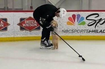 Drake Puporov joue à la fois la rondelle ET l'homme.  ( @drakethepupstar)...