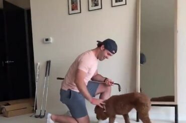 Pas un retriever, mais le chien de Colin Blackwell peut attraper les meilleurs d'entre eux.  (...
