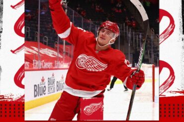 @jakubvrana reste avec les @detroitredwings après avoir eu un impact instantané !...