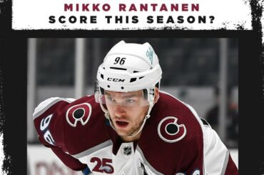 Qu'est-ce qu'on pense pour Moose!?...