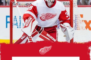 Alex Nedeljkovic (@alexned_) peut-il continuer sur sa lancée lors de sa première saison avec...