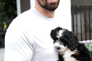 Chaque influenceur doit avoir un chien mignon, n'est-ce pas Alex Killorn ?  ( @akillorn17)...