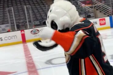 Wild Wing ET le thème @espn ?  ALLONS-Y!  Ne manquez pas les @anaheimducks et @minn...