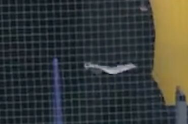 Compris la mission.  #NHLFaceOff ( @predsnhl)...