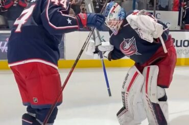 Allez Elvis !  Allez Elvis !  ...