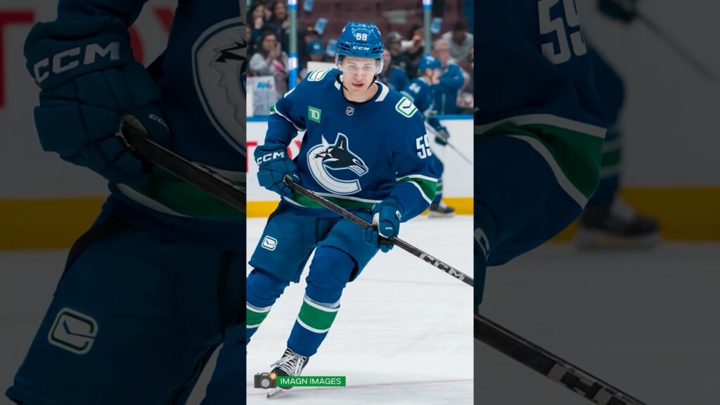 Les Canucks devraient jeter un coup d&rsquo;œil aux jeunes d&rsquo;Abbotsford lors de la dernière partie de la saison.