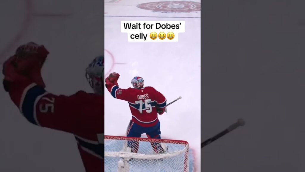 Comme s&rsquo;il marquait 😂 (via @NHL/TT)